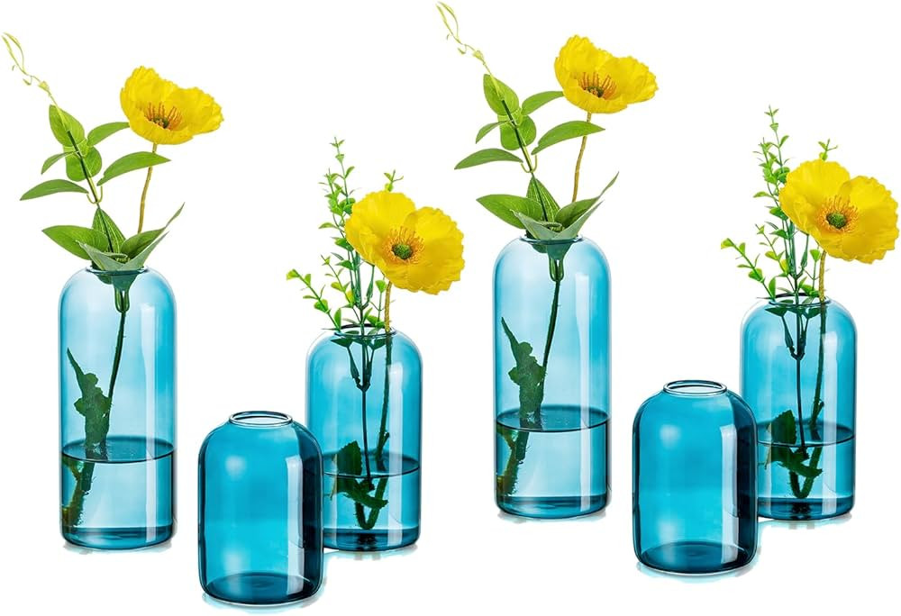 Glass Bud Vases for Flowers - Hewory Blown Modern Small Glass Vases for Centerpieces Set of 6, Mi... | Amazon (US)