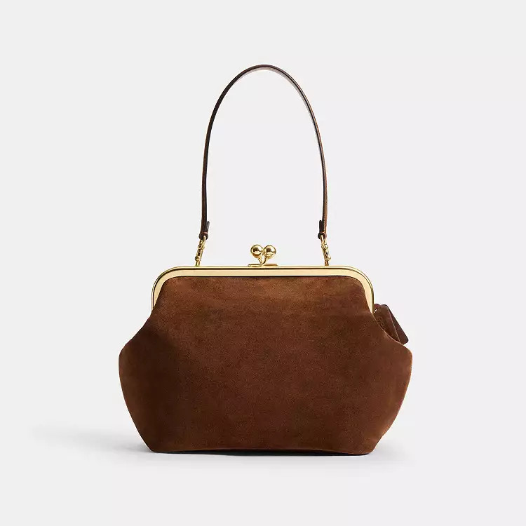 Kisslock Frame Bag 27 | Coach (CA)