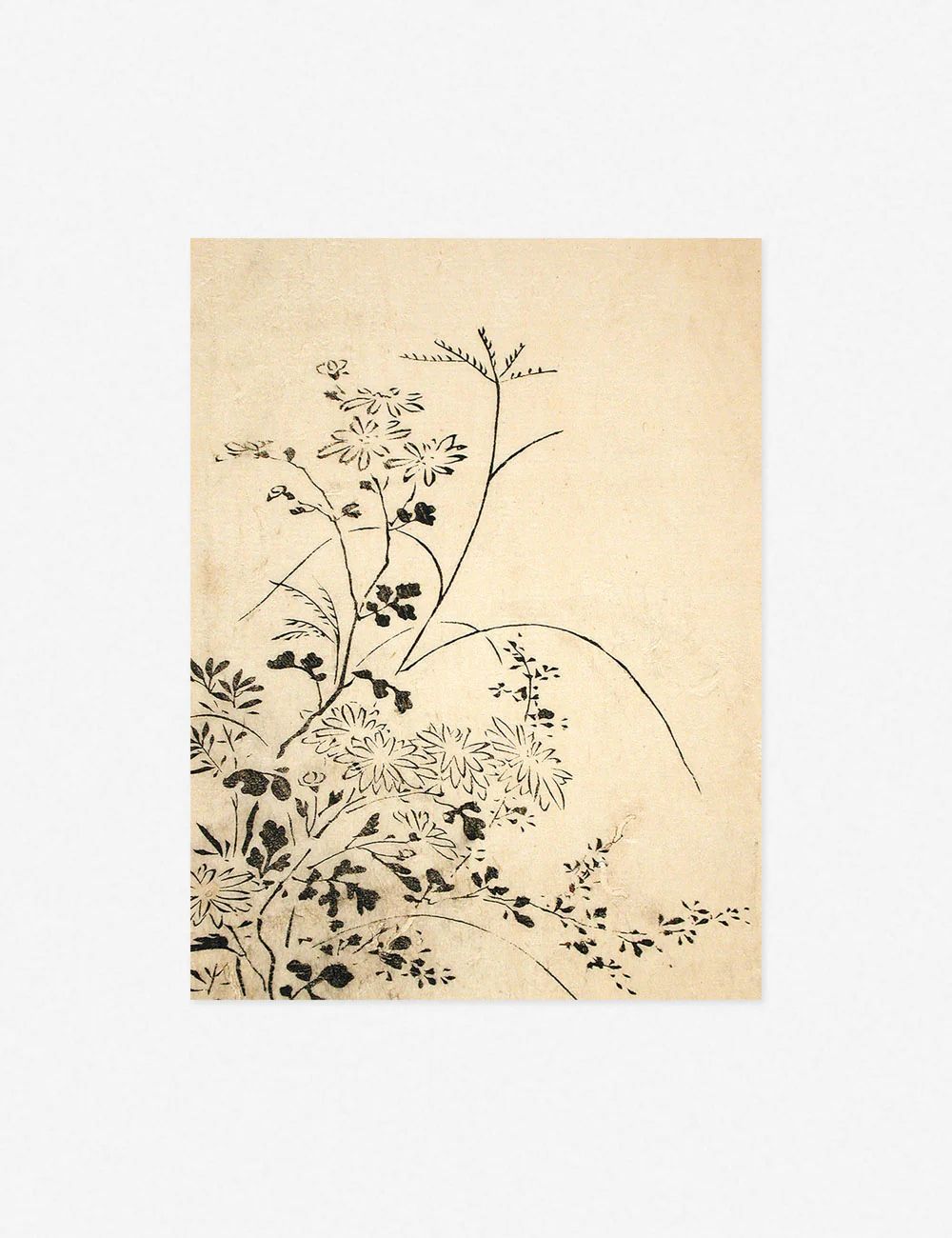 'Autumn Flowers and Grasses' Print | Lulu and Georgia 