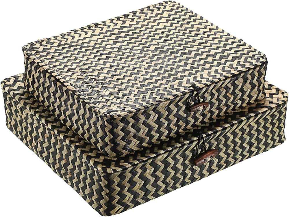 BTSKY Set of 2 Flat Rattan Storage Bins with Lid, Handwoven Seagrass Baskets Woven Wicker Basket ... | Amazon (CA)