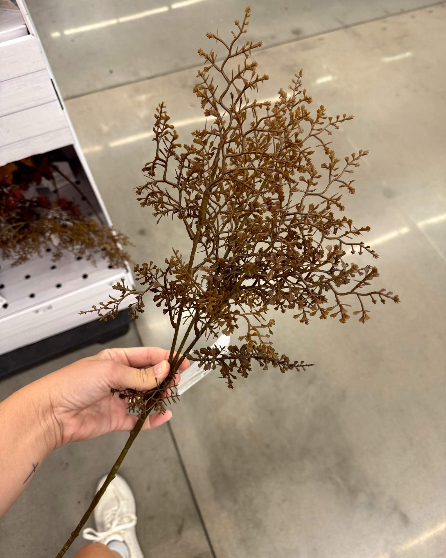 Walmart Fall decor finds! The Autumn finds your home needs this season!

#LTKHome #LTKSeasonal #LTKSaleAlert