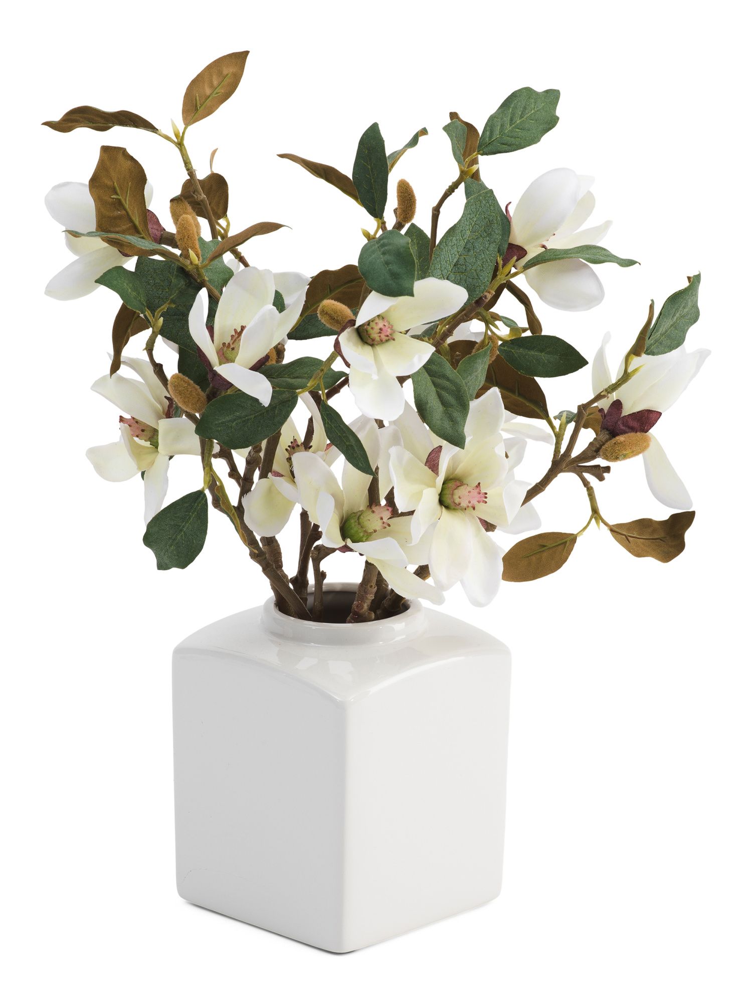 Magnolia In Square Pot | Marshalls