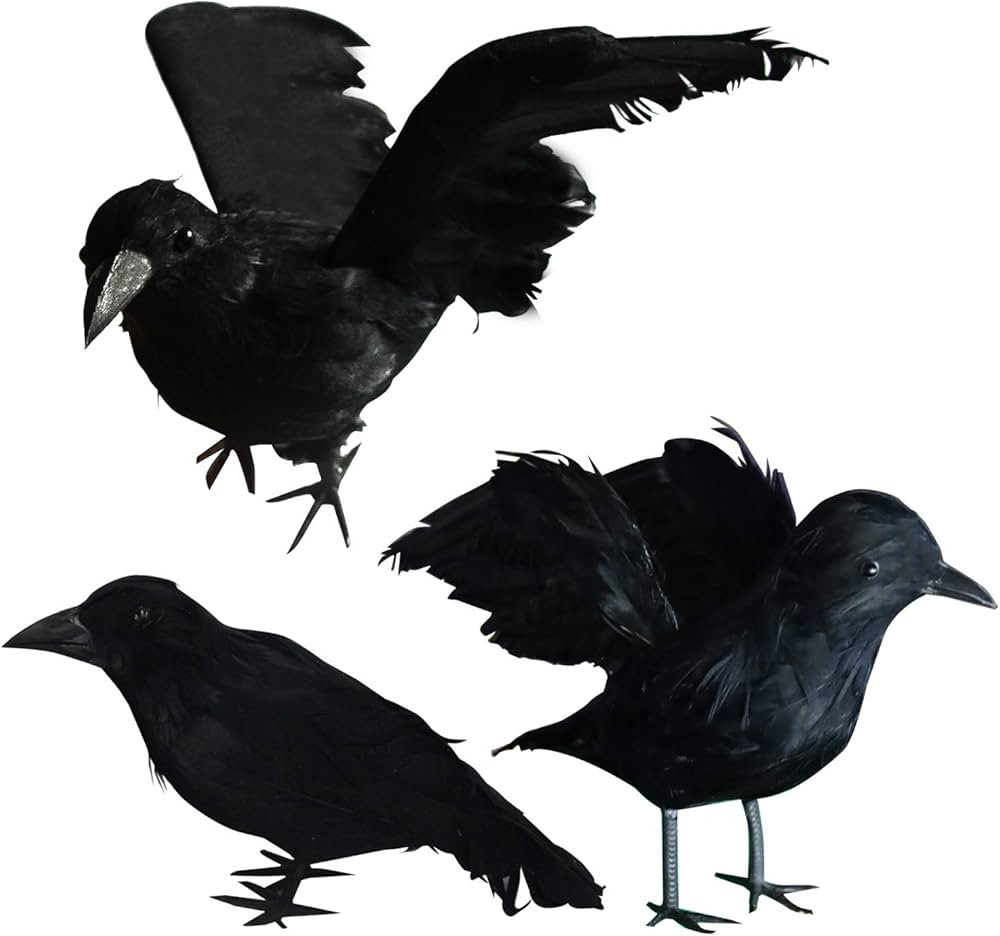 Amazon.com: FUNPENY Halloween Black Feathered Crows, 3 Pack Black Crows with Real Feather Hallowe... | Amazon (US)