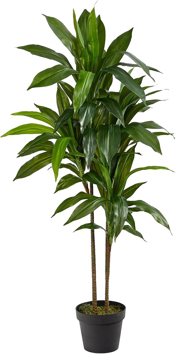 Nearly Natural 43in. Dracaena Silk (Real Touch) Artificial plant, Green | Amazon (US)