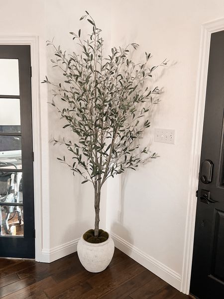 Olive tree 🌿

#LTKhome