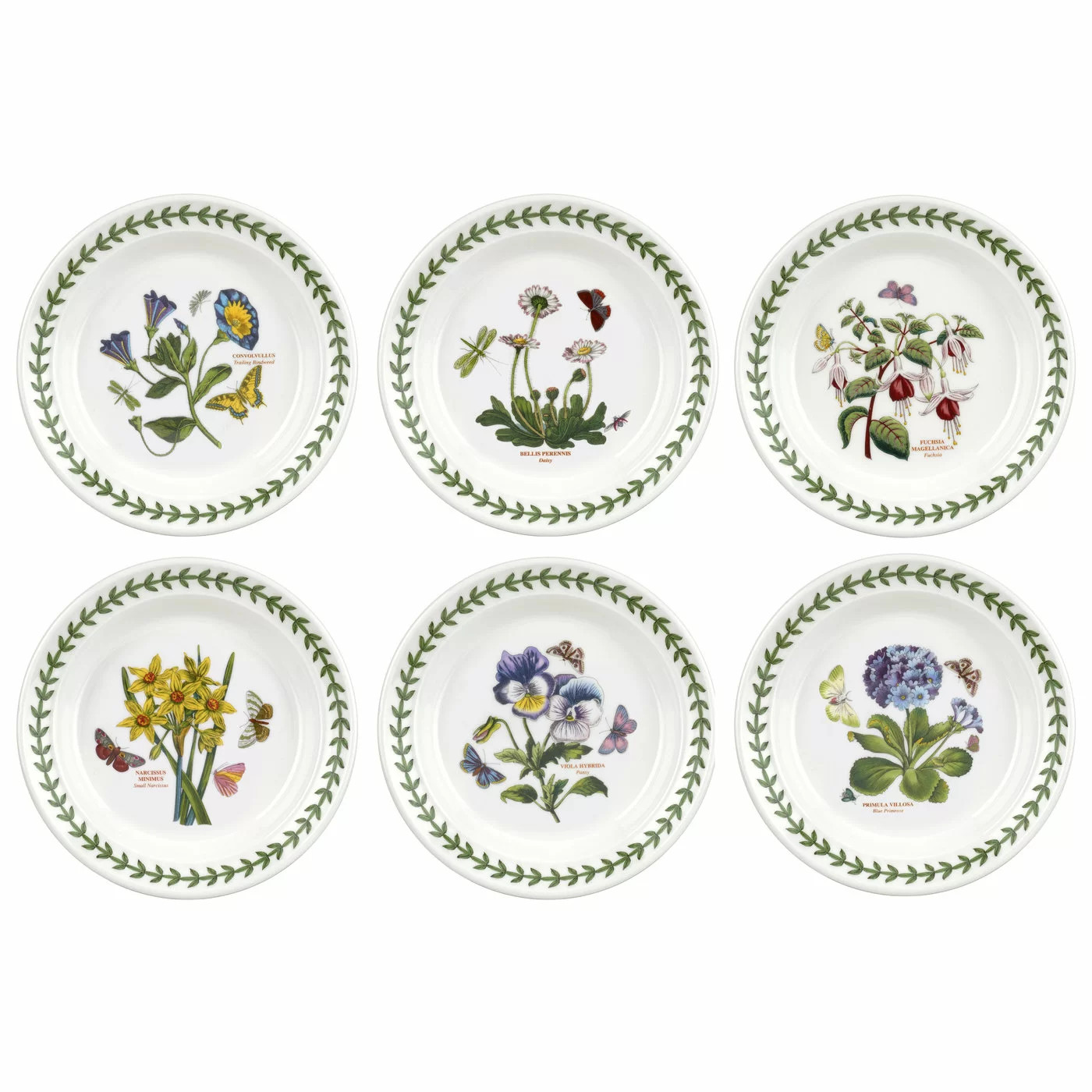 Portmeirion Botanic Garden Side Plate 6.5" (Set of 6) | Wayfair North America