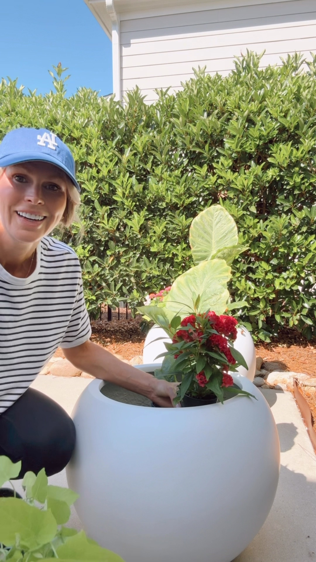 Wayfair outdoor pots. Lightweight & durable

#LTKHome #LTKOver40 #LTKSeasonal