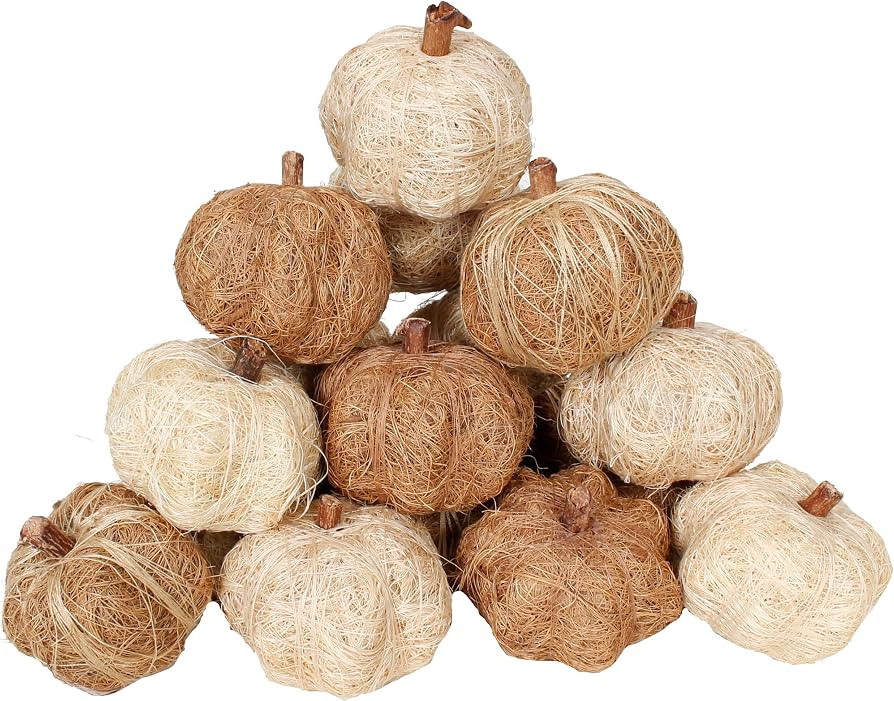 Sweet Summer Living Dried Exotics Pumpkins 18 pieces Assorted Bowl/Vase Filler for Fall, Thanksgi... | Amazon (US)