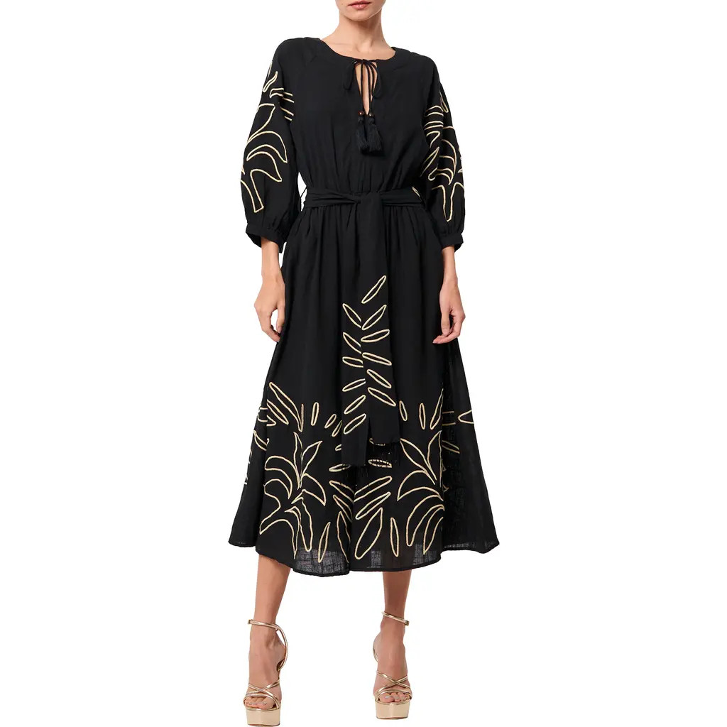 CIEBON Eliza Embroidered A-Line Dress in Black at Nordstrom, Size Large | Nordstrom