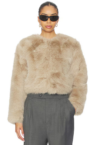BLANKNYC Crop Faux Fur Coat in Prime Asset from Revolve.com | Revolve Clothing (Global)