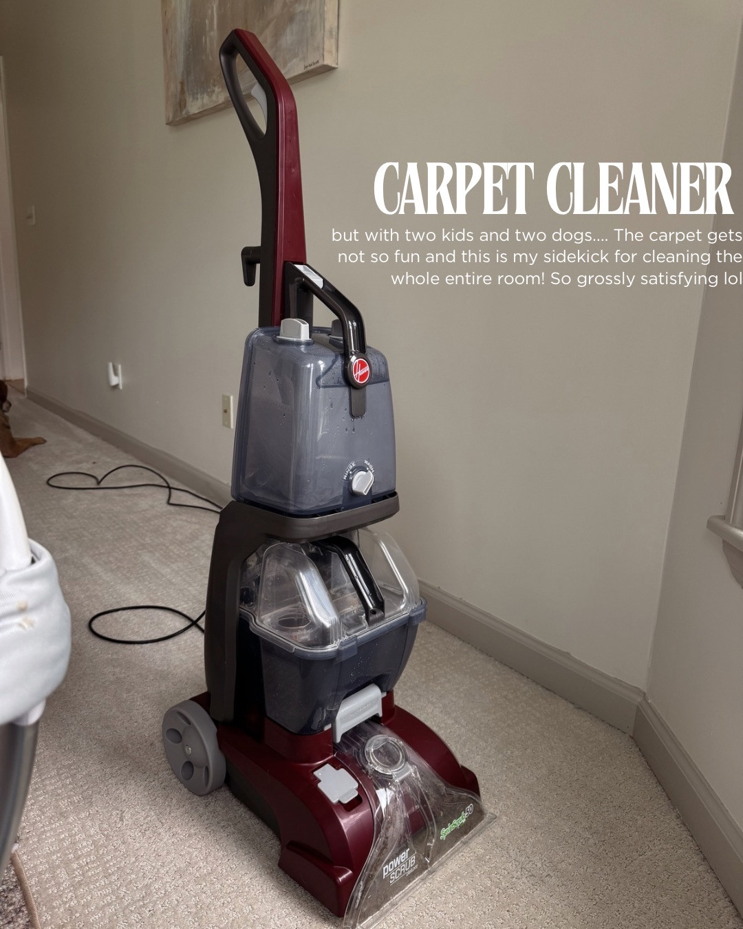 Carpet cleaner on sale today!

carpet cleaner, pet cleaner, vacuum, carpet vacuum, home, clean home, chores, mom, hallie ragan

#LTKmomlife #LTKHome #LTKKids