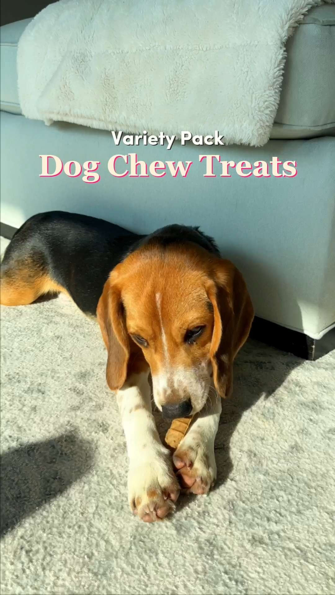Keep your pup guessing and their tail wagging! 🐕  I love that these chews are designed with nubs and ridges that help clean teeth and control plaque and tartar buildup while they chew. Great gift ideas for a "New Puppy" starter kit, a doggy birthday bash, or for pups who love to explore different textures. 🦴 #PetWellness #DogChews #NylaboneVariety #DogChews #PetCare #DentalChews 

#LTKmomlife #LTKHome