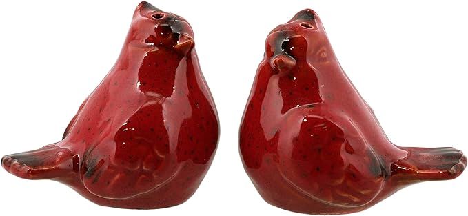 Ceramic Red Bird Salt and Pepper Shaker Collectors Kitchen Décor - Cardinals | Amazon (US)