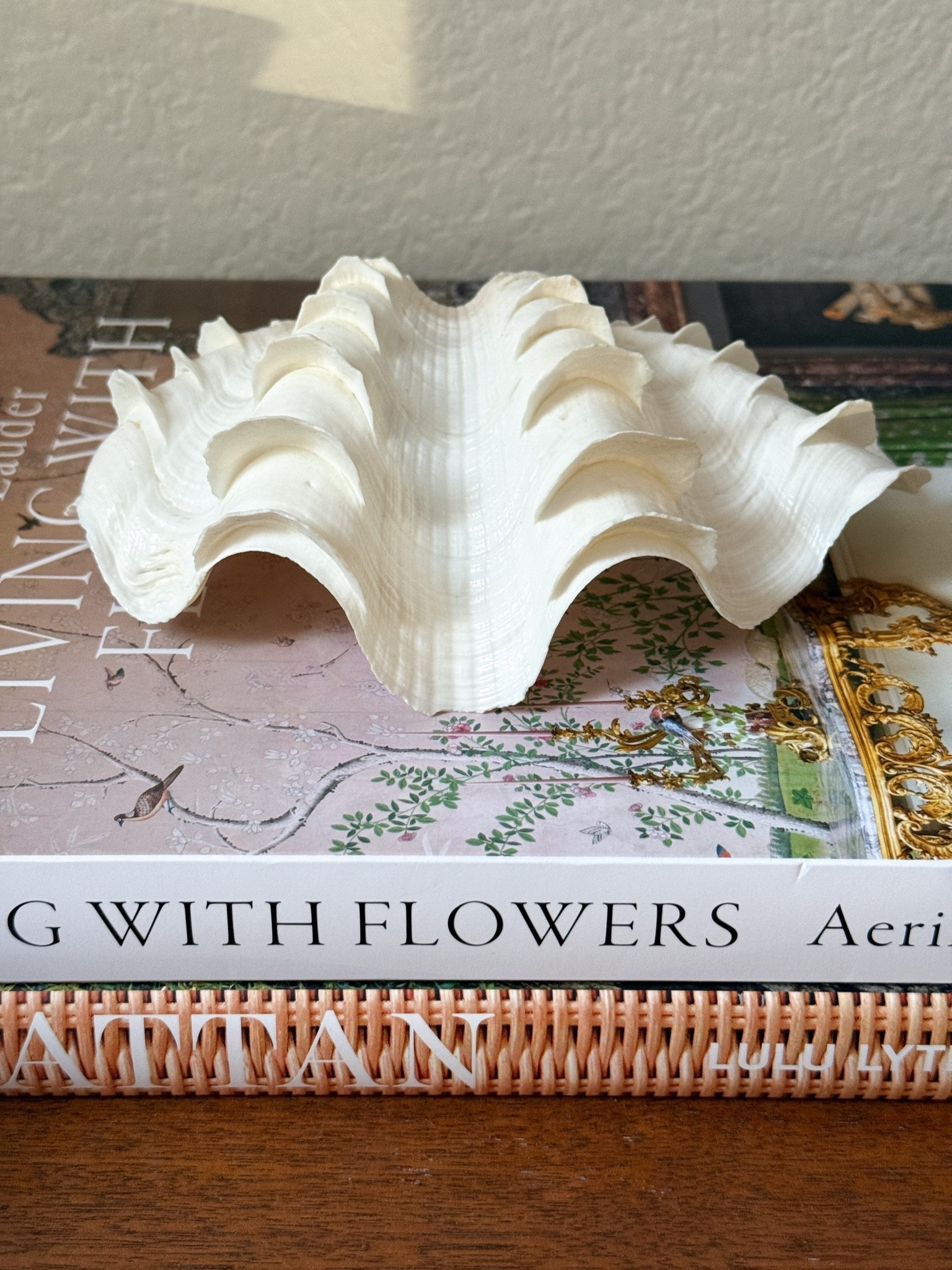 Fluted clam shell

#LTKSeasonal #LTKHome #LTKU