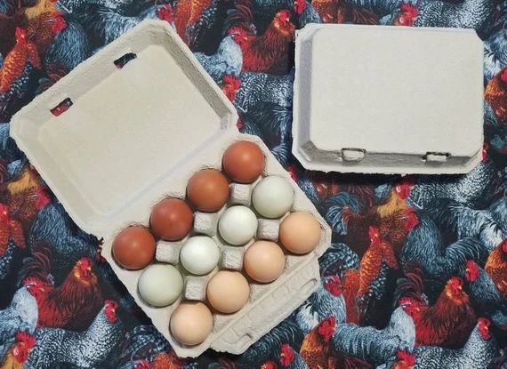 BLANK vintage shaped egg cartons | Etsy (US)