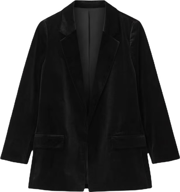Aleida Velvet Blazer | Bloomingdale's (US)