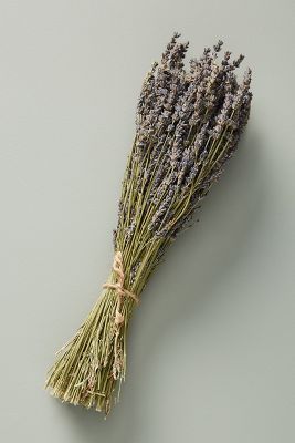 Dried Lavender Bouquet | Anthropologie (US)