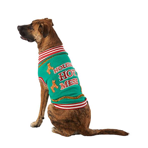 Merry & Bright&trade; Holiday Hot Mess Ugly Dog Sweater | PetSmart