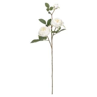White Cabbage Rose Stem by Ashland® | Michaels | Michaels Stores