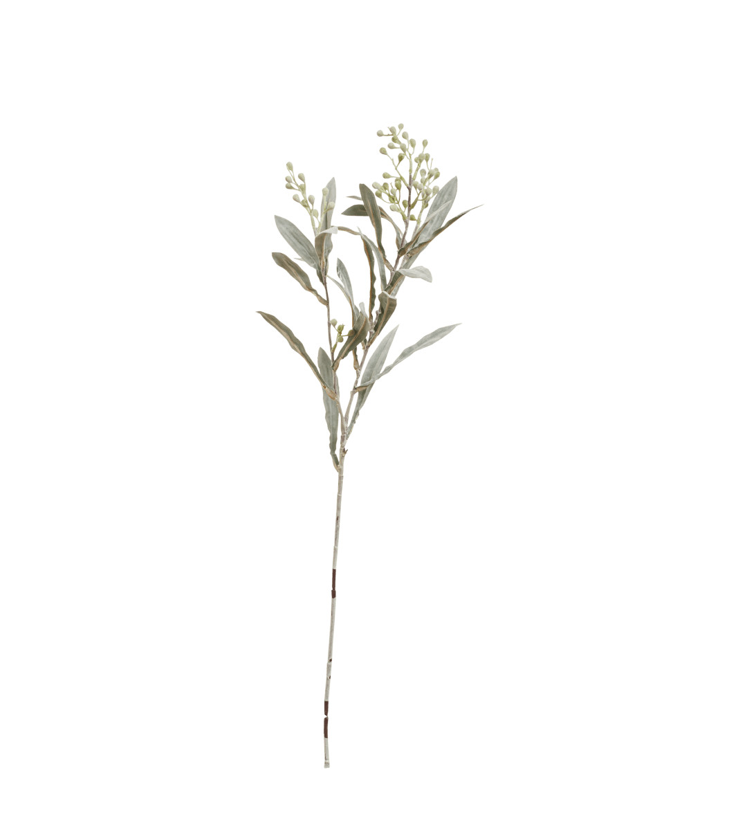 Faux Seeded Eucalyptus Stem - Pale Green | OKA UK