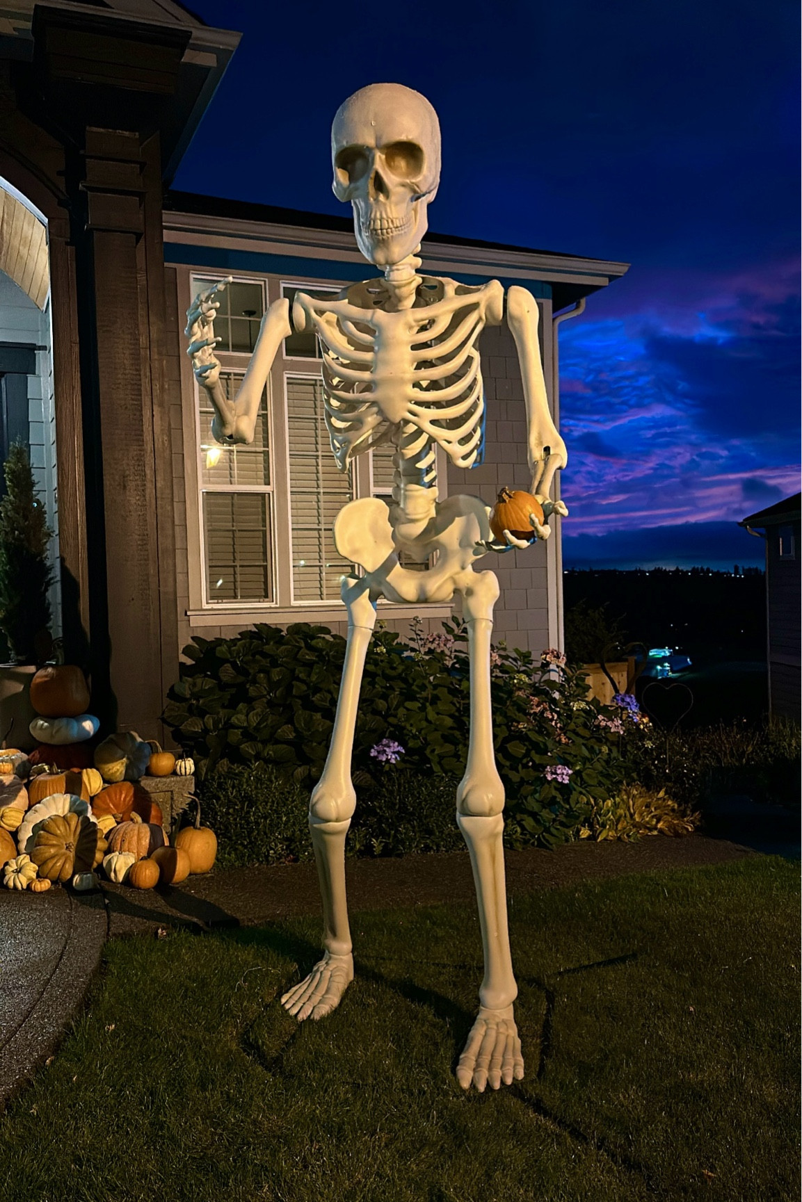 Giant Skeleton 

#LTKFamily #LTKHalloween #LTKHome