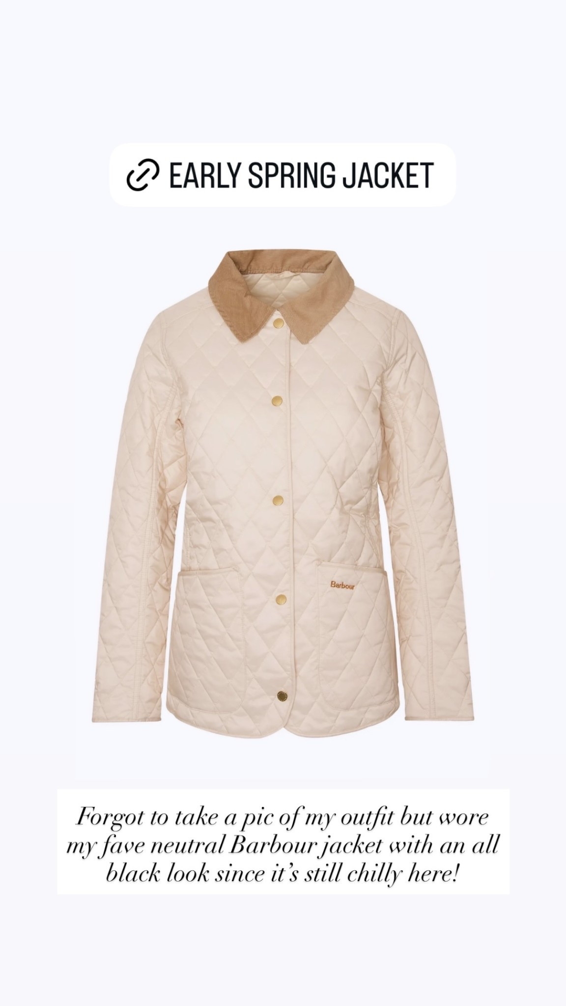 Neutral Barbour quilted Spring jacket. 

#LTKstorytime #LTKTravel #LTKSeasonal