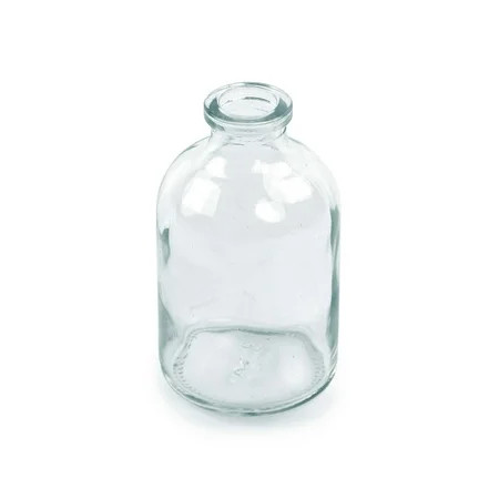 Design Ideas Lil' Buddy Bud Vase, Xtra Small, Clear | Walmart (US)