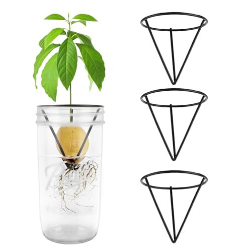 Plus tard 4Pcs Avocado Seed Starter Rack for Mason Jar of Wide-Mouth, Avocado Seed Holder Triangular Metal Bracket for Family Friends and Gardening Enthusiasts | Amazon (US)