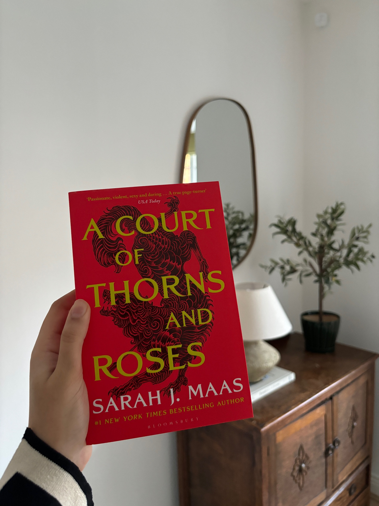 Romance fiction book, a court of thorns and roses, fiction book, beach book, holiday book, sarah j maas, amazon books, waterstones 