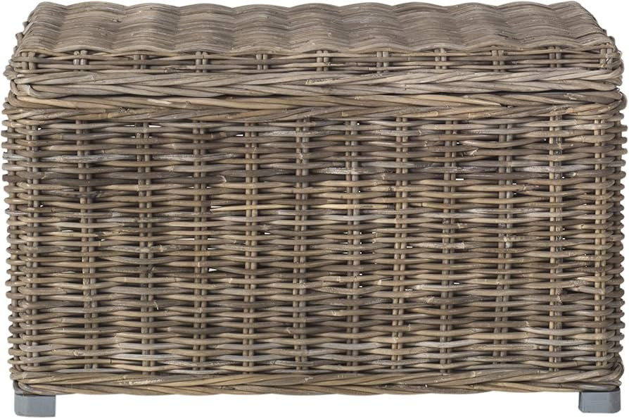 SAFAVIEH Home Collection Delta 4 Tier Premium Chrome 53.6-inch Wire Shelves | Amazon (US)