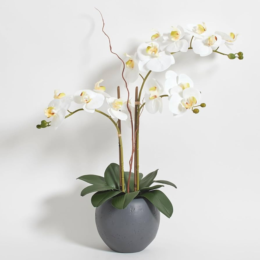 Faux White Orchid Plant, Premium Artificial Indoor Flower Display Stands 25-Inches with Beautiful... | Amazon (US)