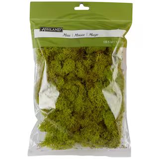 Ashland® Reindeer Moss in Chartreuse | 108.5 cu in | Michaels® | Michaels Stores