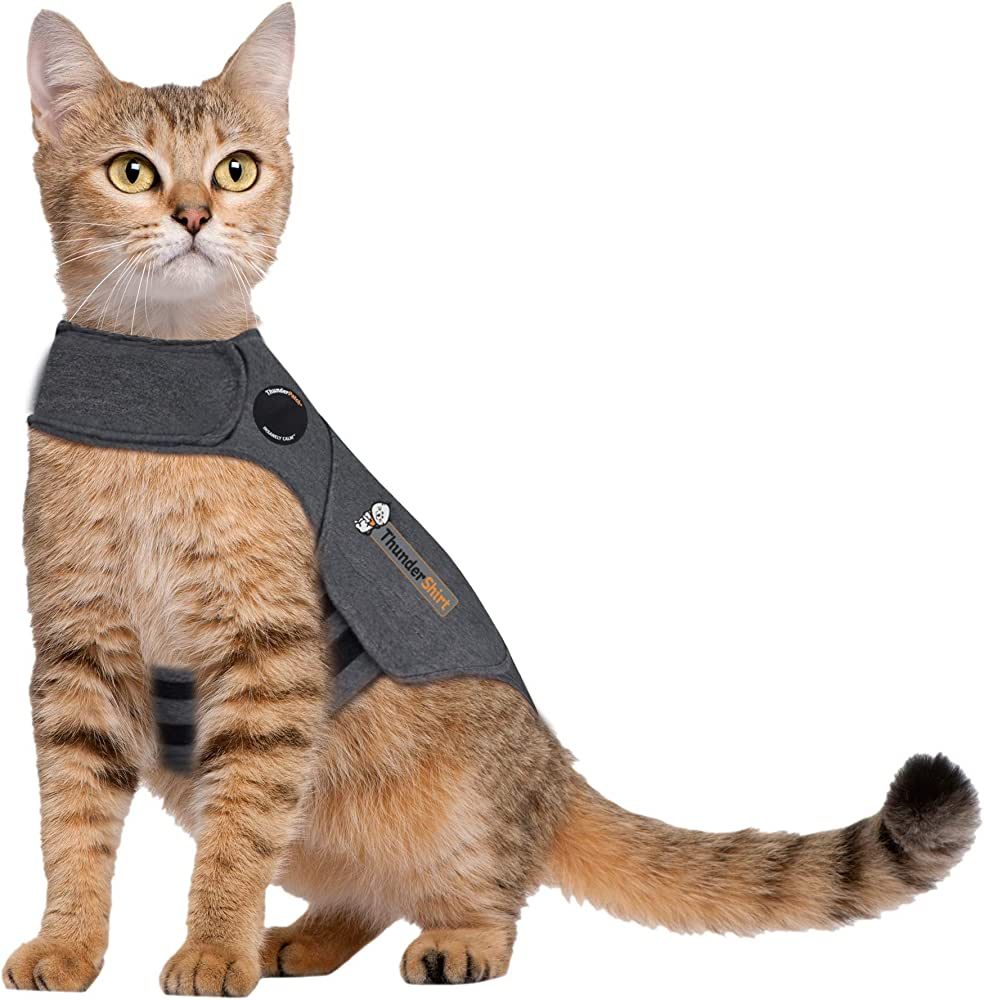 ThunderShirt Classic Cat Anxiety Jacket, Heather Gray, Medium | Amazon (US)