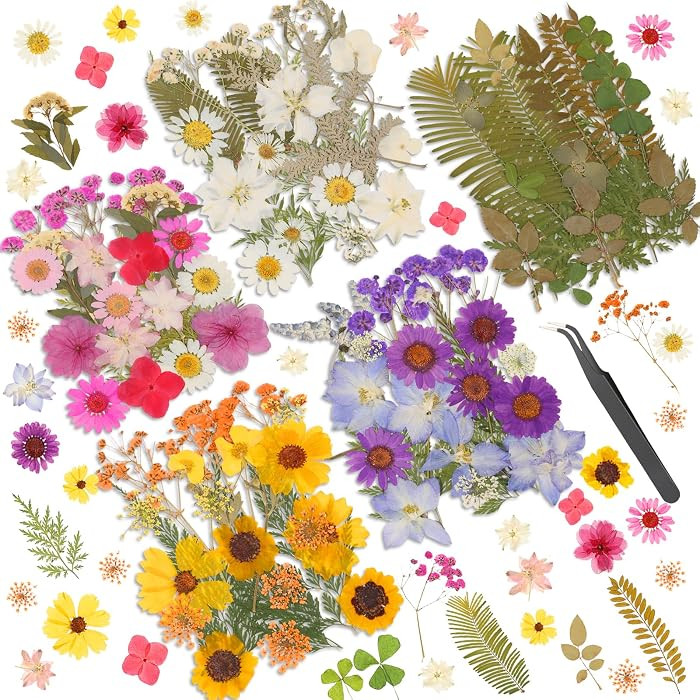 Dried Pressed Flowers for Resin, Real Pressed Flowers Dry Leaves Bulk Natural Herbs Kit for Scrap... | Amazon (US)