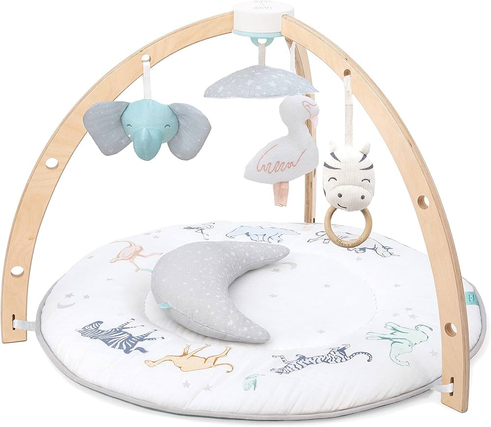 aden + anais Play and Discover Baby Activity Gym – 30+ Developmental Benefits - 3 Attachable To... | Amazon (US)