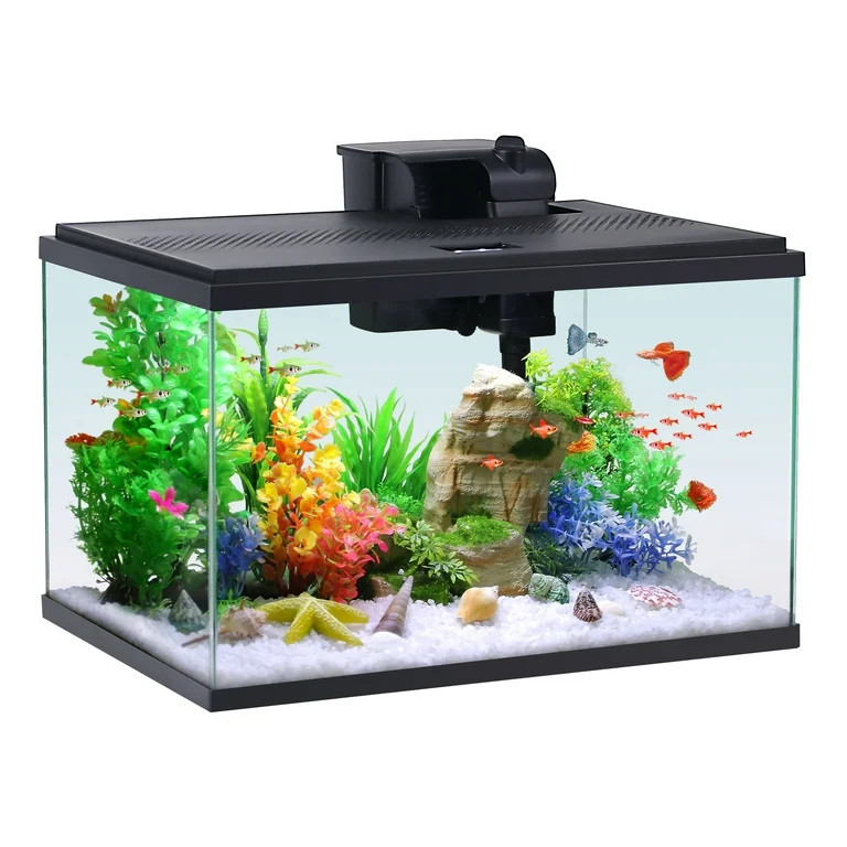 Aqua Culture 10-Gallon Glass Aquarium Starter Kit | Walmart (US)
