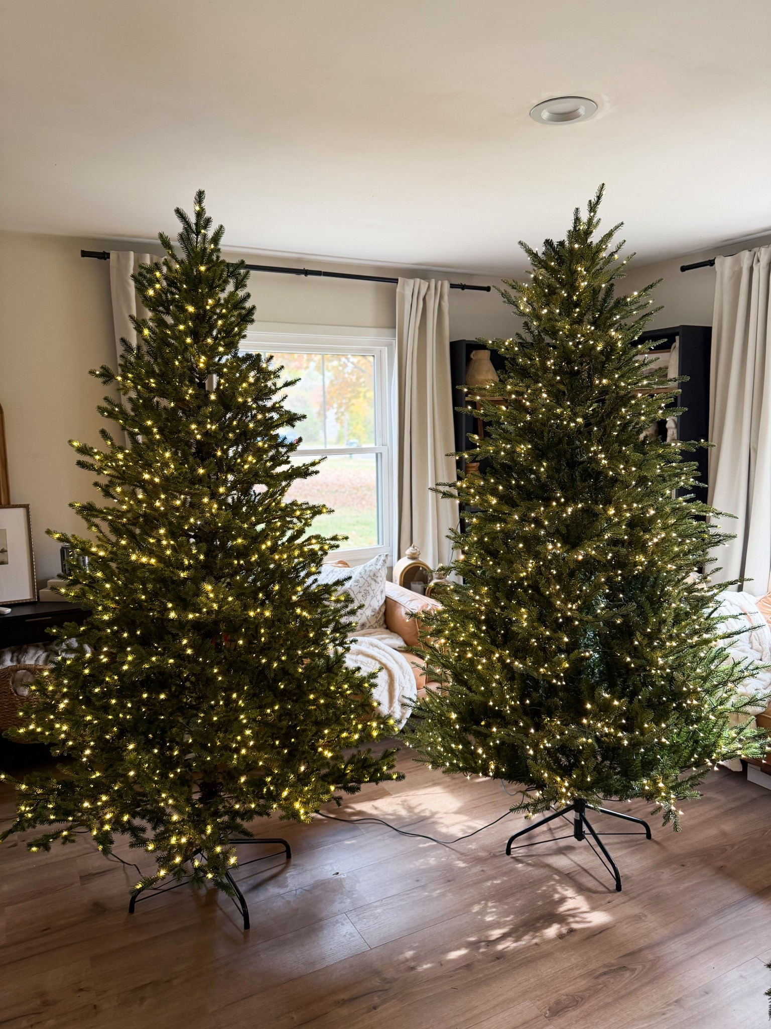 The tree linked as “exact” is the tree with the warmer lights + no colored light option!

The “viral tree” that I’ve had for three years with the color option and brighter lights is linked as the “similar option"