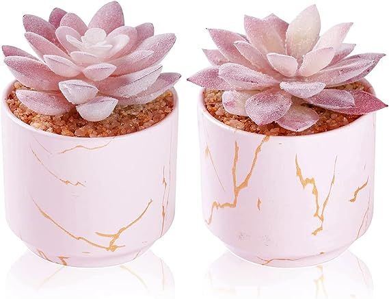 ZENIDA Succulent Artificial Plants,Cute Fake Succulents in 2 Pink Ceramic Pots,Small Fake Plants ... | Amazon (US)