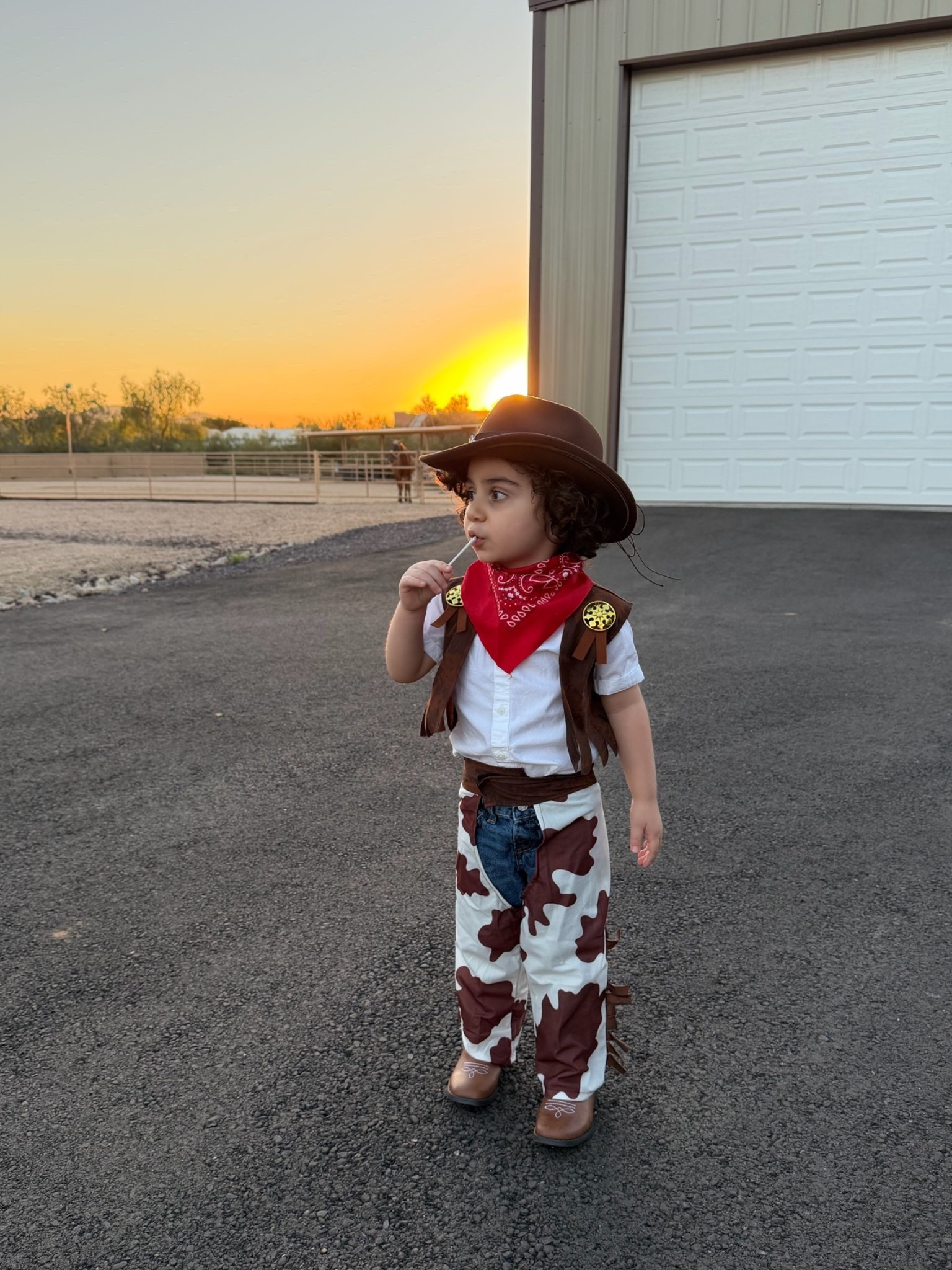 Toddler cowboy costume in 4T! 

#halloween #toddlercostumes #costumes #toddlermom #toddlerboy #toddlerkids #toddlerboycostumes #cowboycostume #amazonfinds #amazoncostumes #affordablefinds #kidscostumes #toddlerhalloween #costumesunder50

#LTKSeasonal #LTKSaleAlert #LTKKids