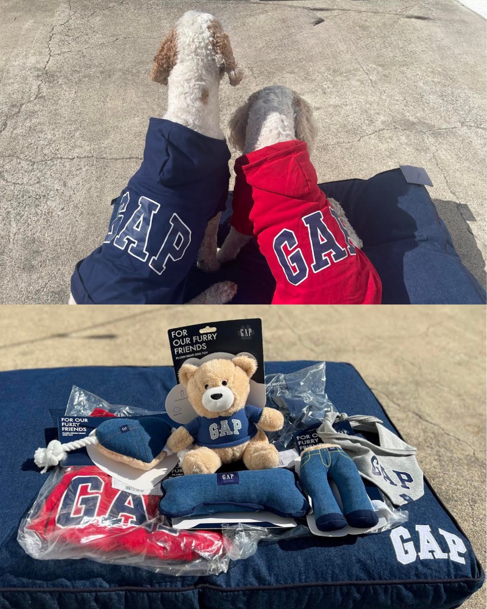 Walmart Find!
These handsome brothers look so dapper in their iconic GAP Hoodies from the exclusive new collection found on @Walmart.
See all the toys, accessories and pet clothes to treat your pets from the fab GAP collection on Walmart.
Not only is it so IG worthy, the quality + value is so good!
Our pets bring us so much joy! Show your love with new pet products from the GAP collection found on #Walmart.
#WalmartPartner #WelcomeToYourWalmart

#LTKFind #LTKfamily #LTKunder50