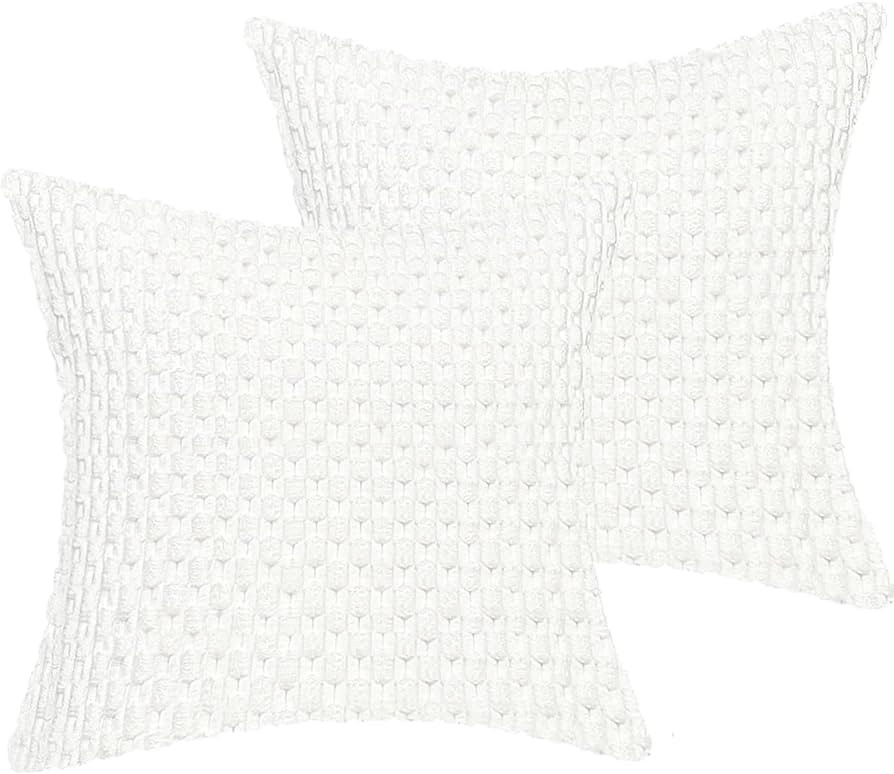 18x18 Throw Pillow Covers Set of 2, Decorative Boho Covers for Bed, Couch Fluffy Pillow Cover for... | Amazon (US)
