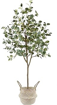 Artificial Eucalyptus Tree, 6ft Tall Fake Eucalyptus Plant with Basket, Green Silver Dollars Silk... | Amazon (US)