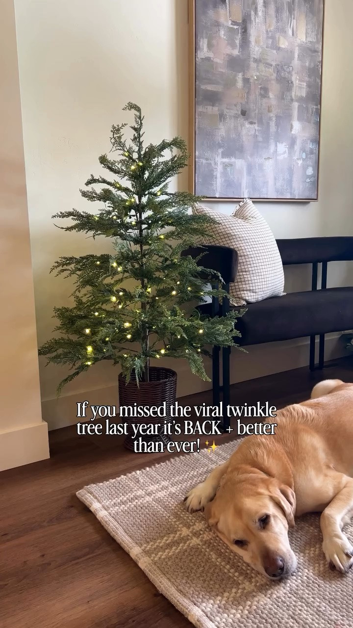 These will sell out before October!! Back in stock and SO good! These would be perfect on your front porch too! Buy now & decorate later!

Twinkle tree 
Twinkle Christmas tree 
Walmart Christmas 
Christmas decor 
Christmas decorating 
Kitchen decor 
Kitchen design

#LTKHome #LTKSeasonal