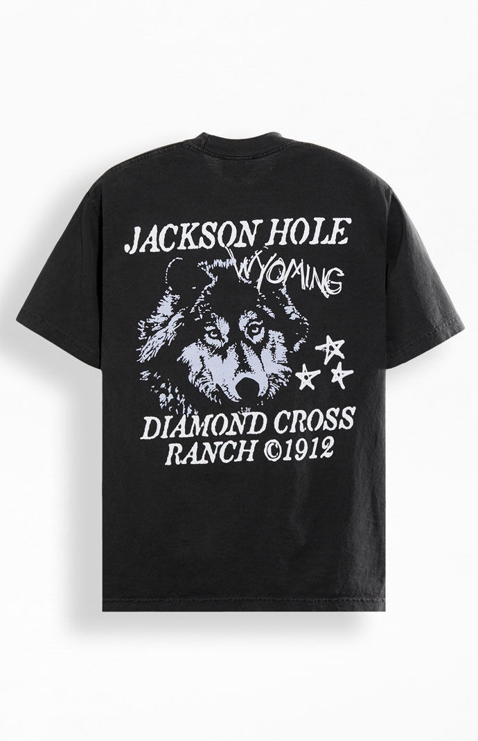 Diamond Cross Ranch Men's Running T-Shirt in Washed Black - Size Small | PacSun