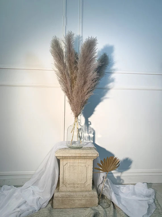 Earl Grey Pampas Grass | Etsy (US)