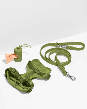 Harness Walk Kit | Dog Harness & Leash Kit | Wild One | Wild One