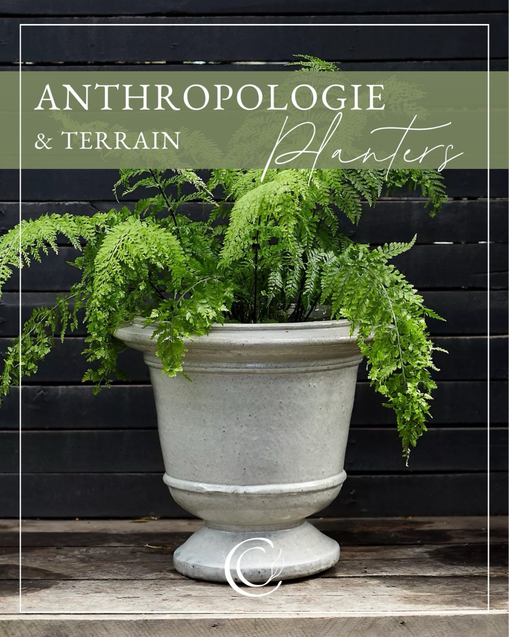 Aeros Ceramic Urn planter comes in two very pretty finishes - white and [aqua] green.

#LTKSeasonal #LTKSpringSale #LTKhome