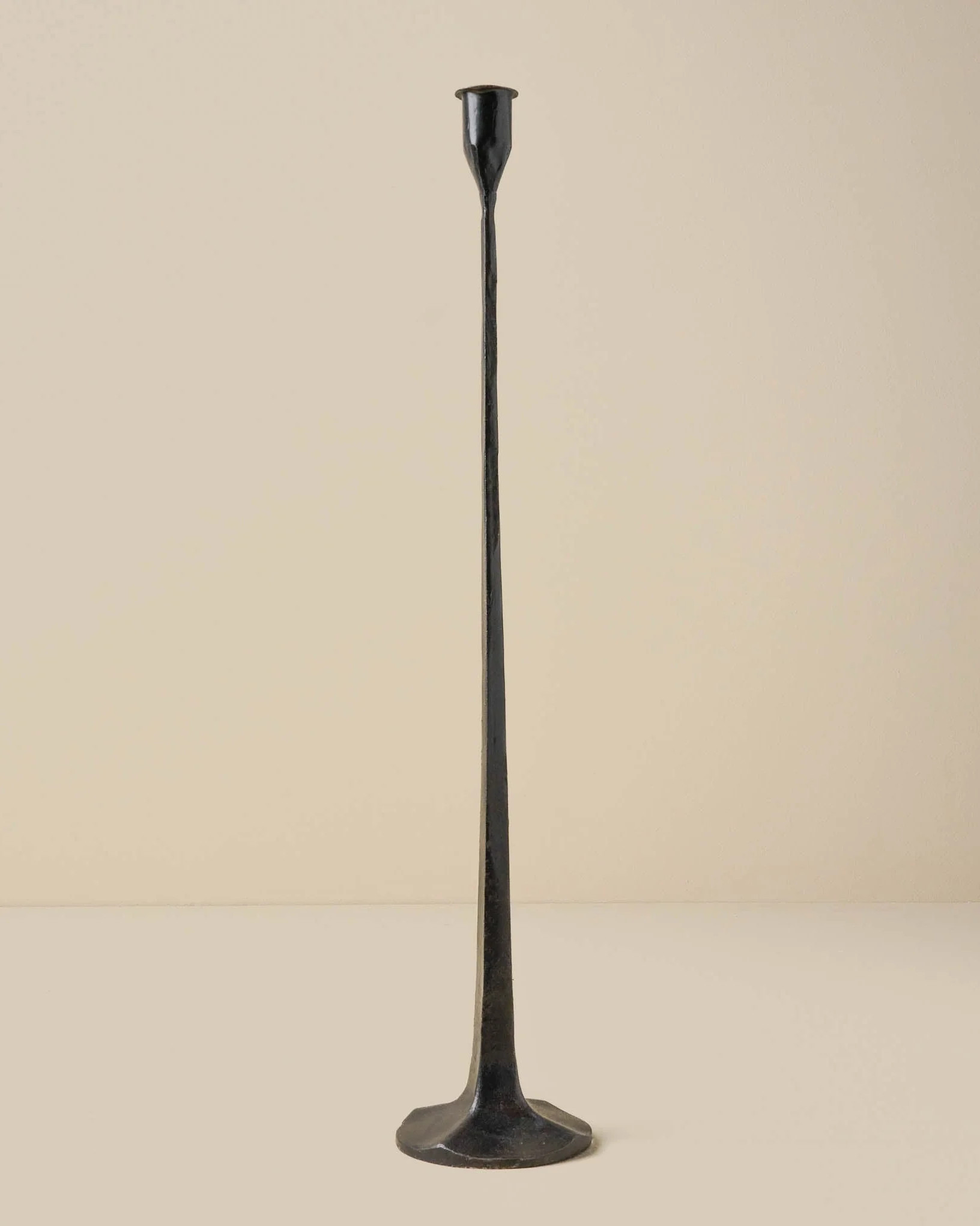 Black Gatecrest | Magnolia