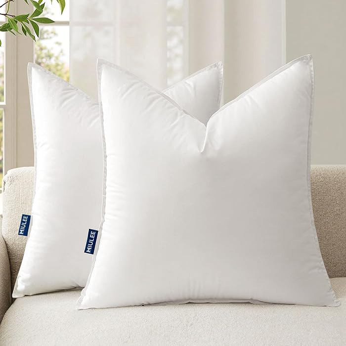 MIULEE 22x22 Throw Pillow Inserts,Set of 2 Decorative Pillow Inserts with Soft Cotton Cover,Fluff... | Amazon (US)