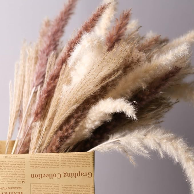 Mudysson 16.92" Dried White Pampas Grass 15 Pcs|Brown Dried Flower 15 Pcs|30 Pcs Natural Dried Re... | Amazon (US)